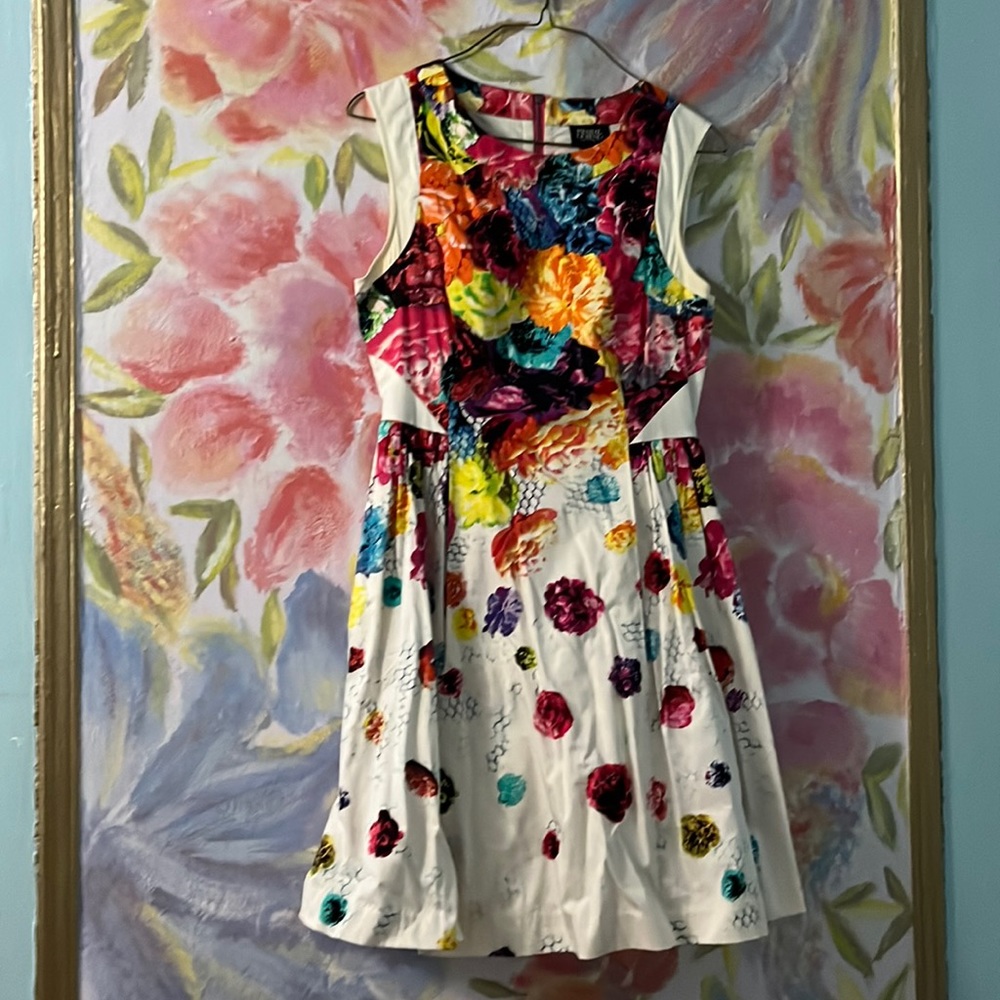 Prabal Gurung for target fir and flair  summer dress floral printed cotton